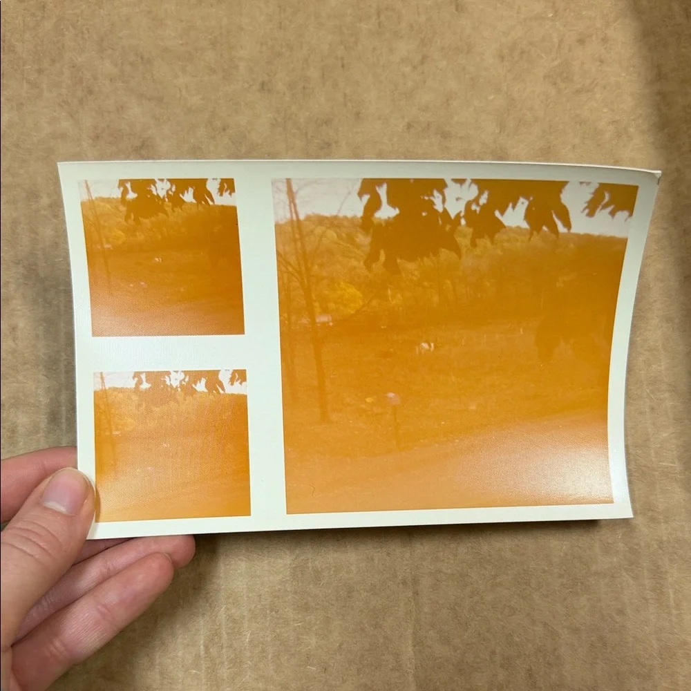 Vintage Photo Collection - Picture 5 of 11